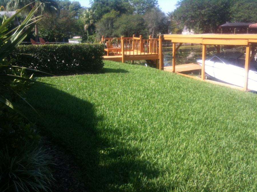 Healthy lawn by the water